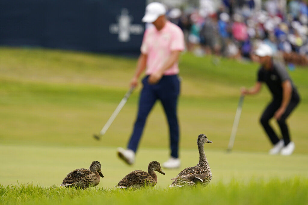 US Open Golf